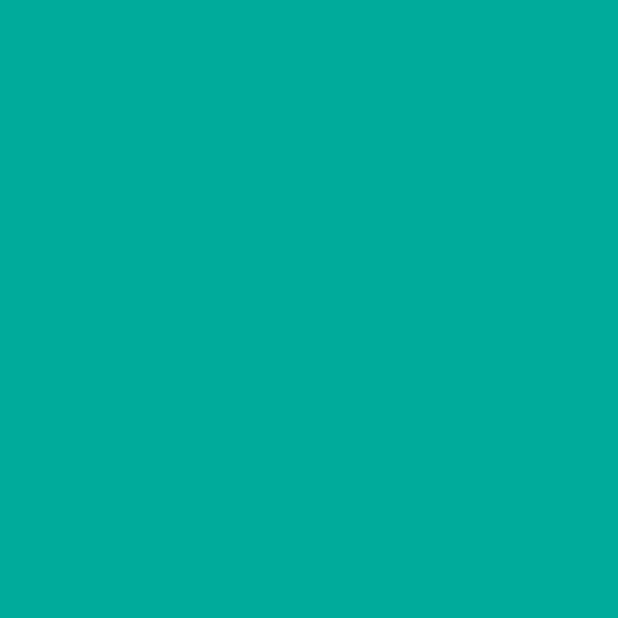 S 2060-B50G | NCS