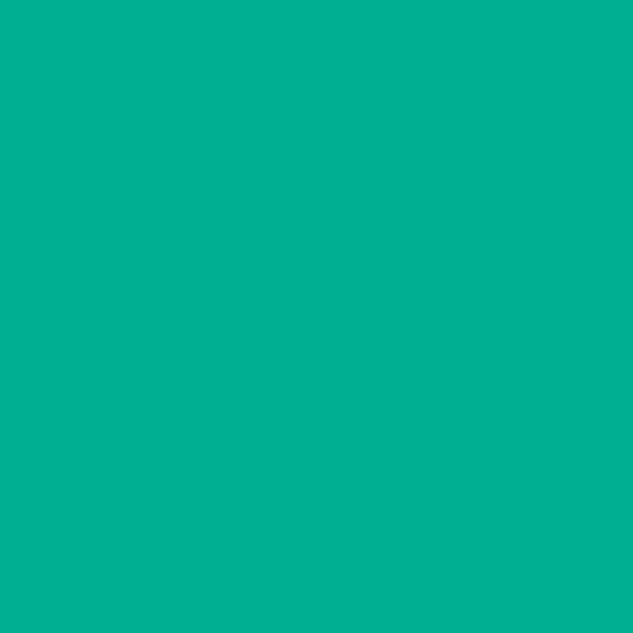 S 2060-B70G | NCS