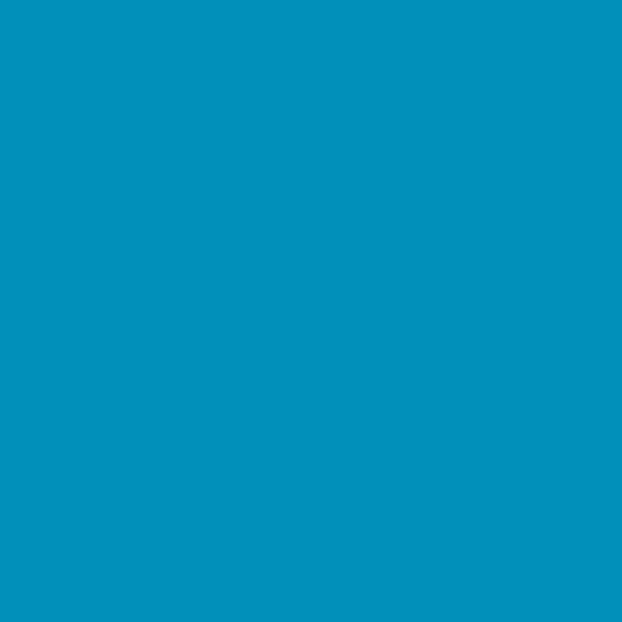 S 2065-B | NCS