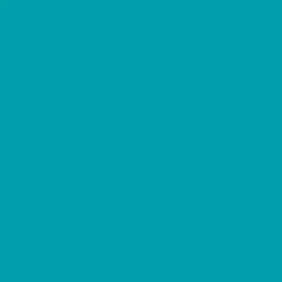 S 2555-B20G | NCS