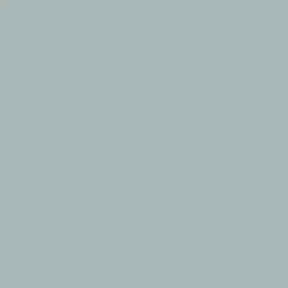 S 3005-B20G | NCS