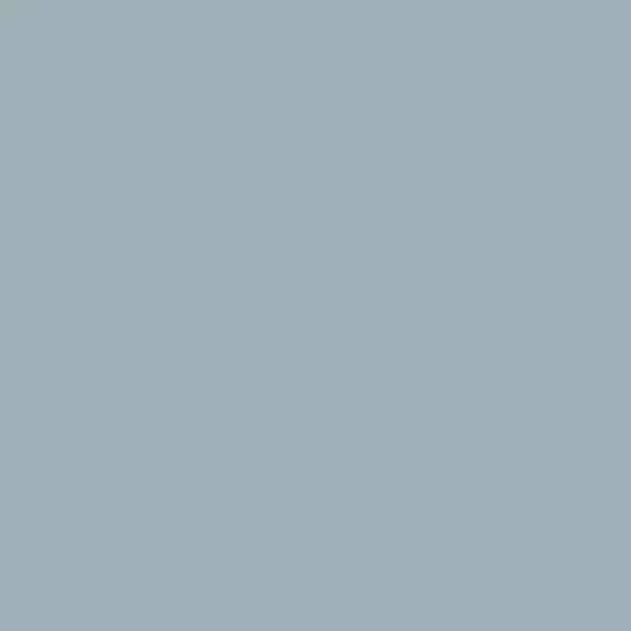 S 3010-B10G | NCS