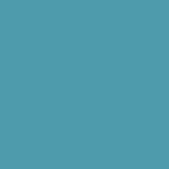 S 3040-B10G | NCS