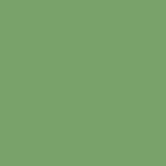 S 3040-G20Y | NCS