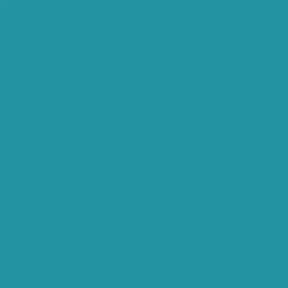 S 3050-B20G | NCS