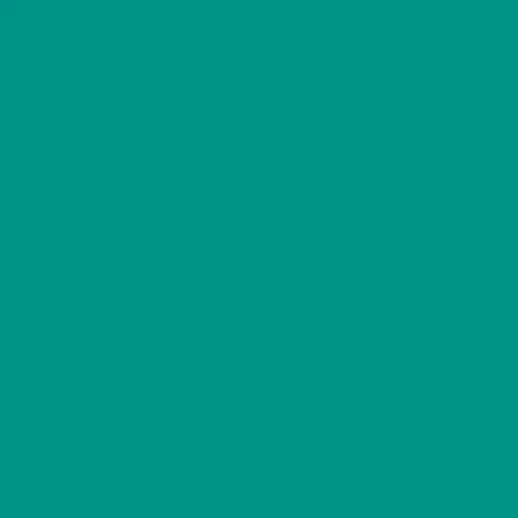 S 3055-B50G | NCS