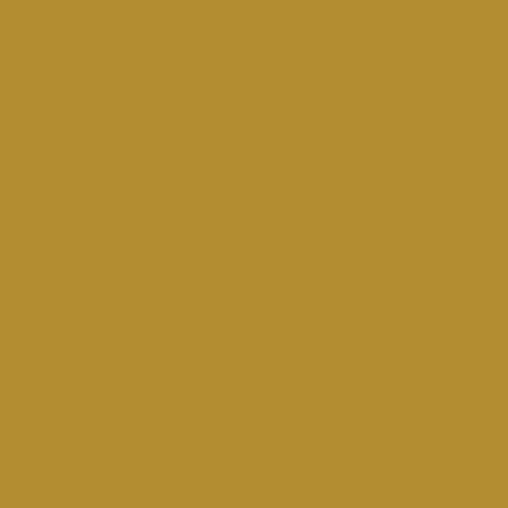 S 3060-Y | NCS