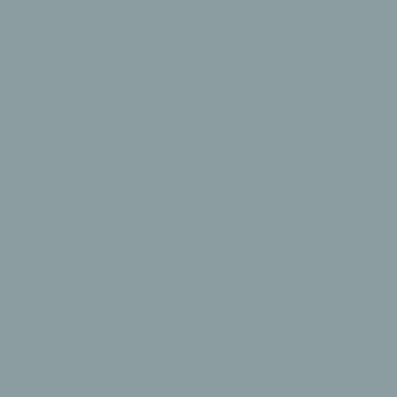 S 4010-B10G | NCS
