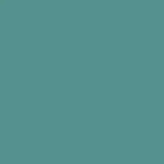S 4030-B50G | NCS