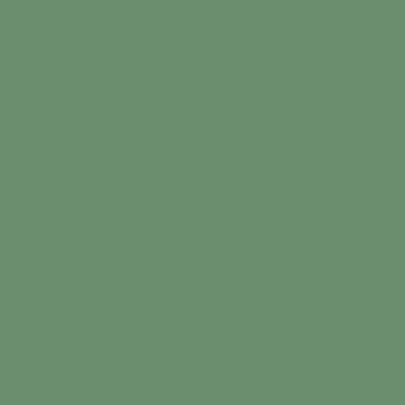 S 4030-G10Y | NCS