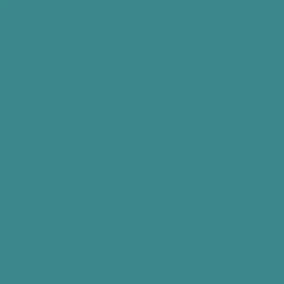 S 4040-B30G | NCS