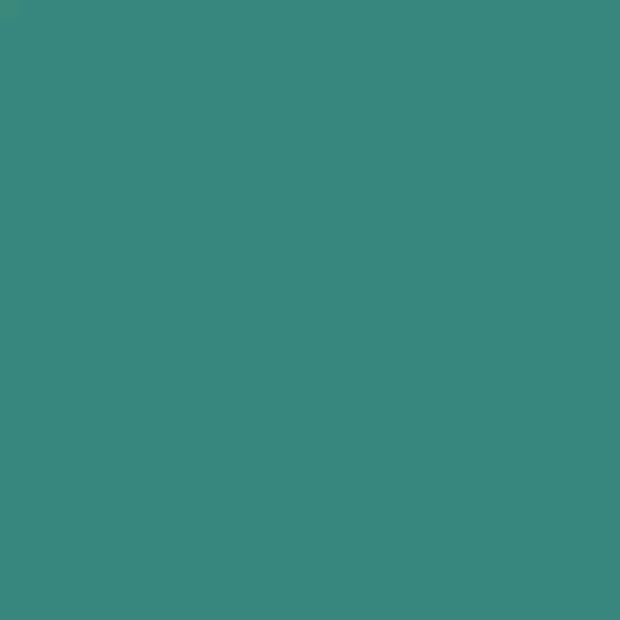 S 4040-B60G | NCS