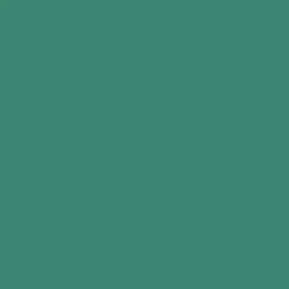 S 4040-B80G | NCS