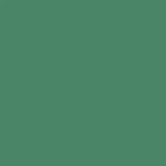 S 4040-G | NCS