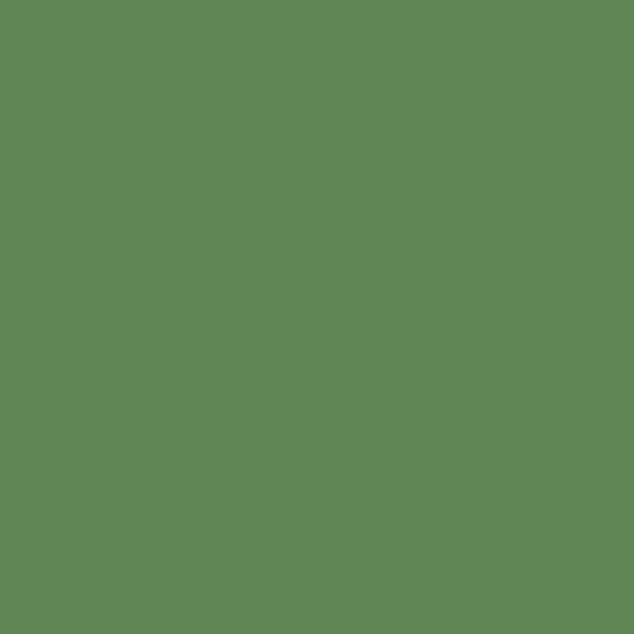 S 4040-G20Y | NCS