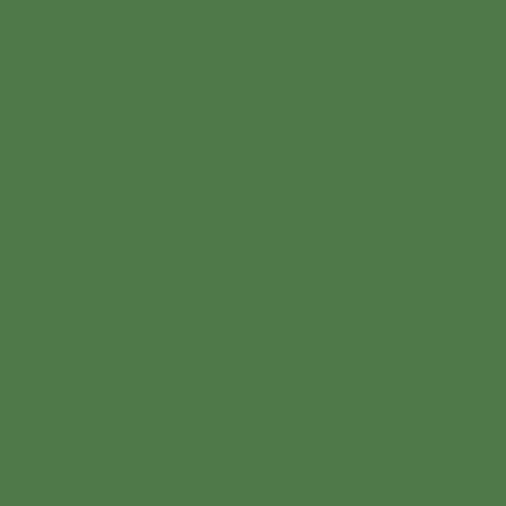 S 4050-G20Y | NCS