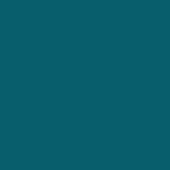S 5045-B10G | NCS