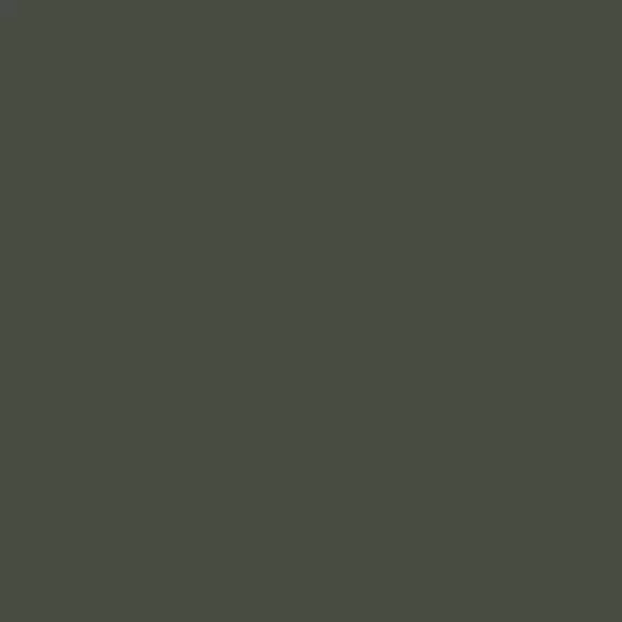S 8005-G50Y | NCS