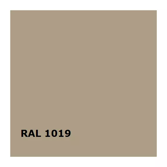RAL RAL 1019