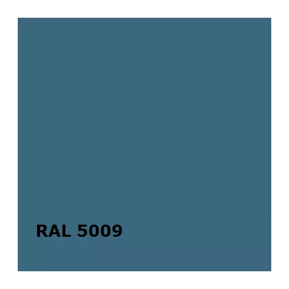 RAL RAL 5009