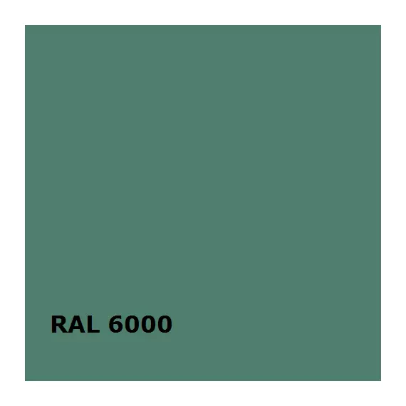RAL RAL 6000