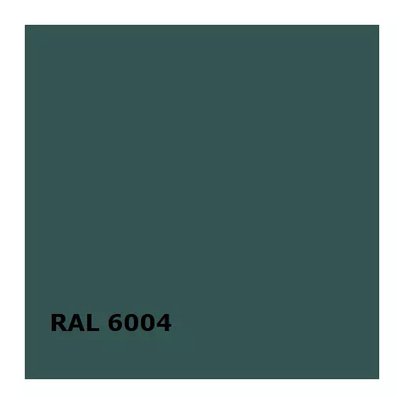 RAL RAL 6004