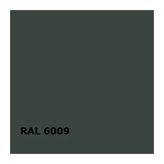 RAL 6009 | RAL
