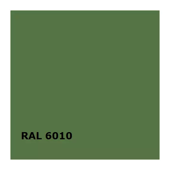 RAL RAL 6010