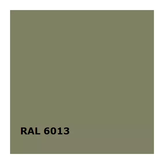 RAL 6013 | RAL