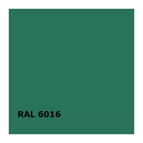 RAL RAL 6016