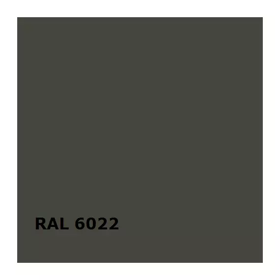 RAL 6022 | RAL