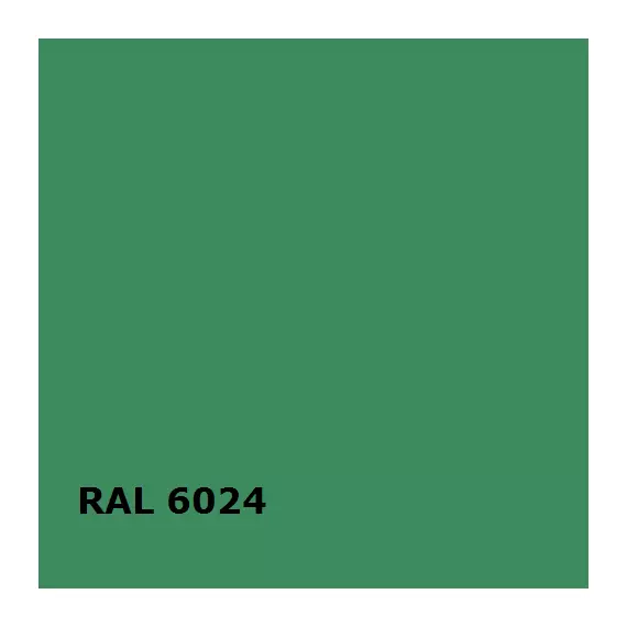 RAL RAL 6024