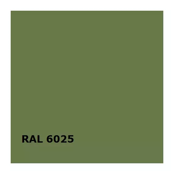 RAL RAL 6025