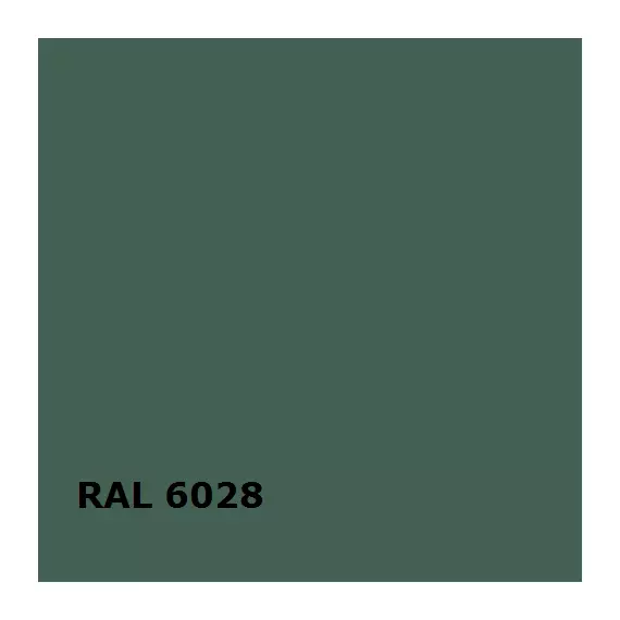 RAL RAL 6028