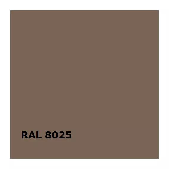 RAL RAL 8025
