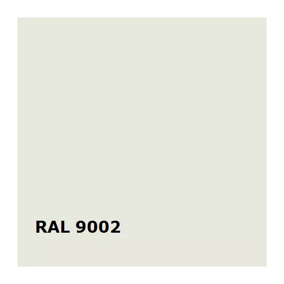 RAL RAL 9002