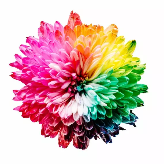 Conversione del numero di colore