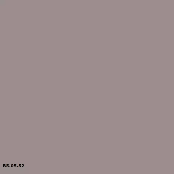 B5.05.52 Heart Wood | Sikkens
