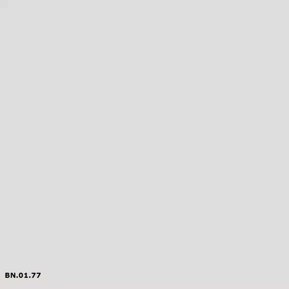 BN.01.77 | Sikkens