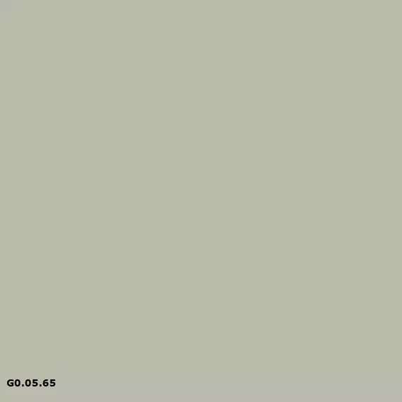 Sikkens G0.05.65