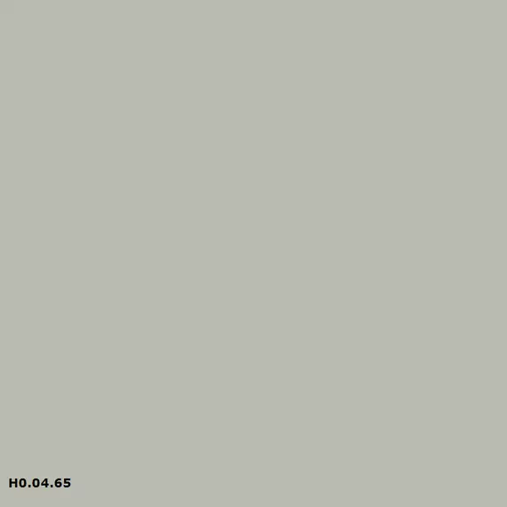 Sikkens H0.04.65