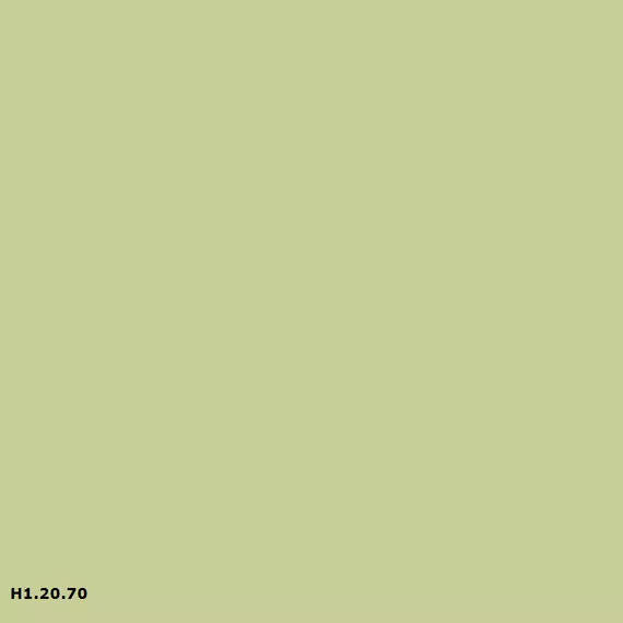 Sikkens H1.20.70
