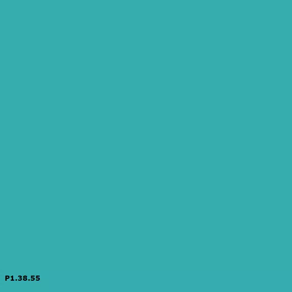 Sikkens P1.38.55