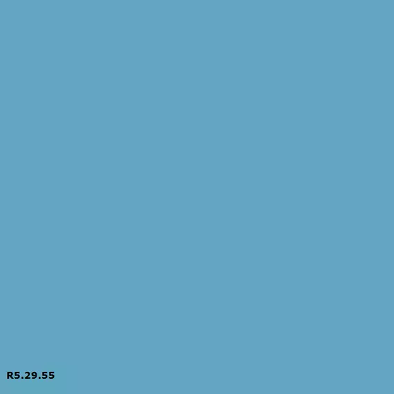 Sikkens R5.29.55