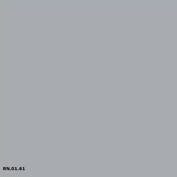 Sikkens RN.01.61