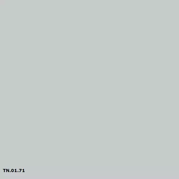 TN.01.71 Silver Flow | Sikkens