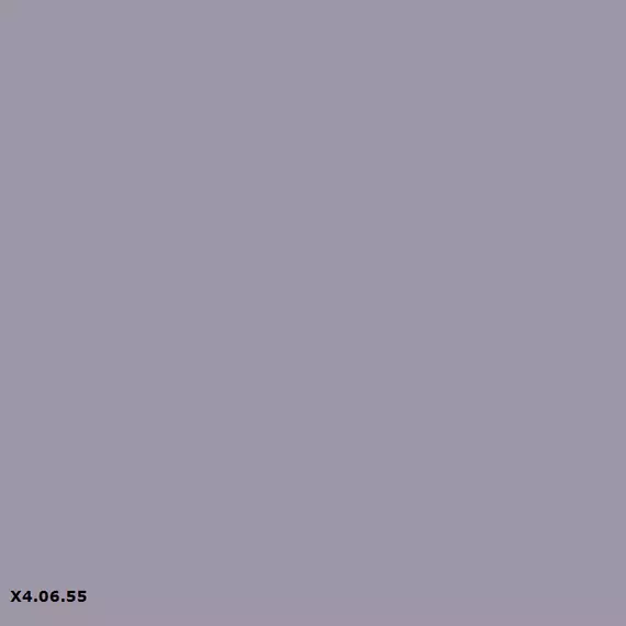 Sikkens X4.06.55