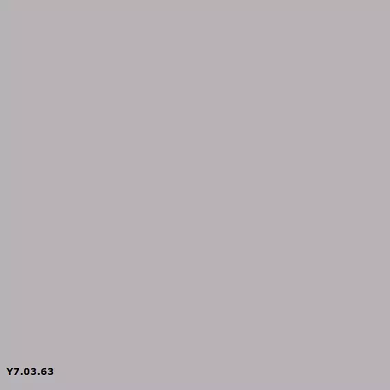 Sikkens Y7.03.63