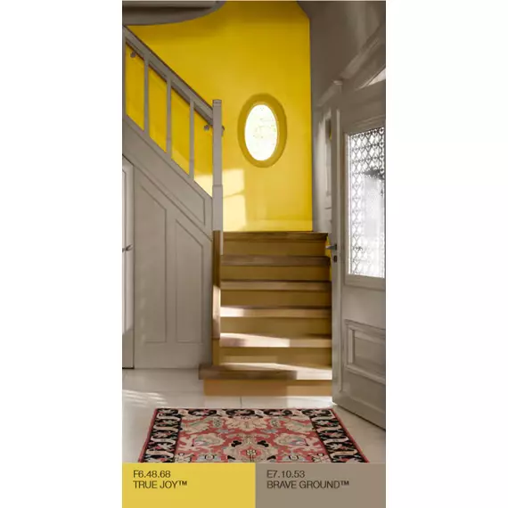 F6.48.68 Colore dell'anno 2025 True Joy™, 2 image