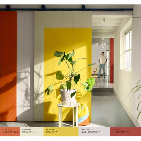 F6.48.68 Colore dell'anno 2025 True Joy™, 3 image